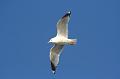13_DP-2011-023 Bild0359c